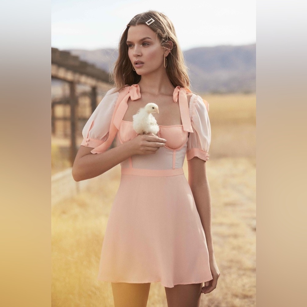 NWT Louise Babydoll Mini Dress (Small)
